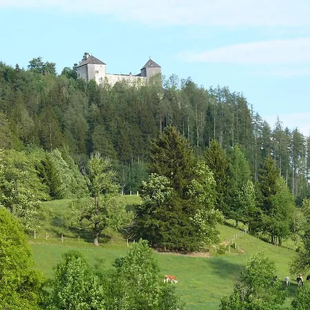 Hubertus Apartment Saalfelden